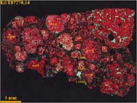 Cartographie chimique d'une chondrite. Les chondrites représentent les objets les plus primitifs du système solaire et permettent d'en étudier l'origine.